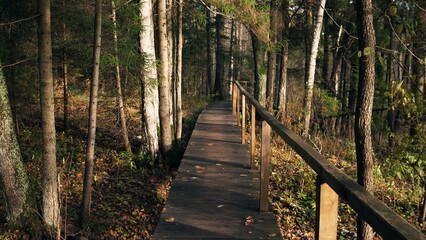 A serene wooden walkway meanders through a lush forest, inviting nature lovers to explore its beauty