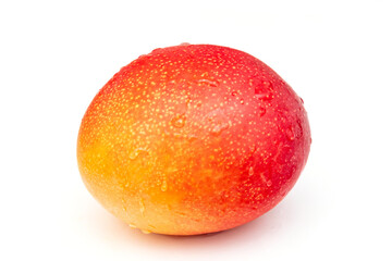 Red Peruvian Mango isolsted on white studio background.
