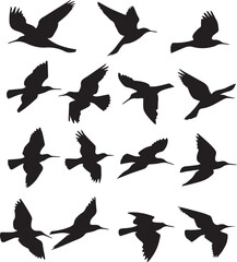 Birds in Flight and Perch Silhouettes