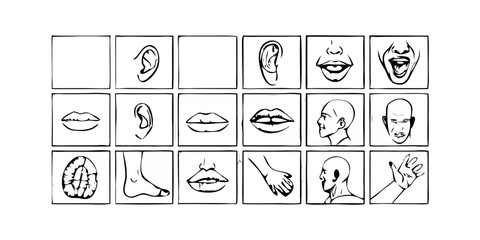 Collection of hand drawn anatomical sketches of body parts