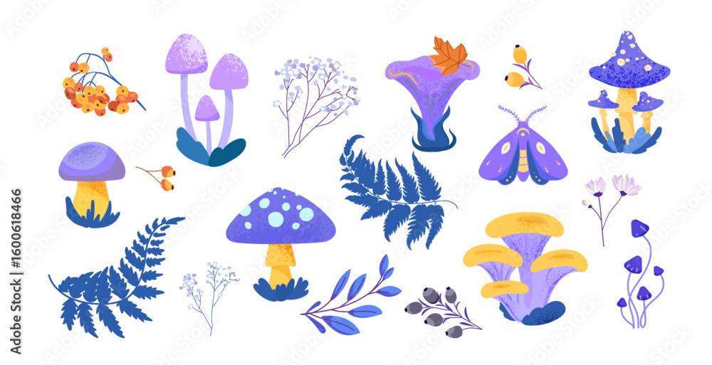 Poster forest elements set with different types of mushrooms leaves ferns berries flowers and moth in flat 