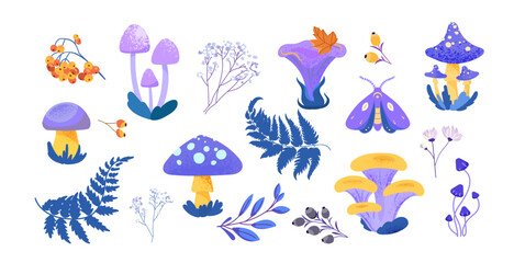Fototapeta premium Forest elements set with different types of mushrooms leaves ferns berries flowers and moth in flat style, for botanical illustrations greeting cards stickers patterns prints digital design .Vector