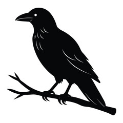 Black silhouette of a raven perched on a branch