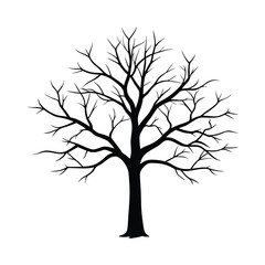 Silhouette of a bare tree with intricate branches against a white background