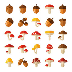 Vector Pattern Collection of Acorns and Mushrooms in Organic Style with Autumn Colors