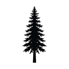 Black silhouette of a tall evergreen pine tree