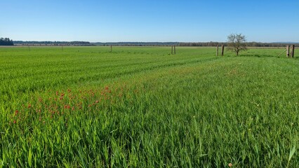Open countryside plots next to a local community