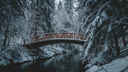 Embellished crossing amidst a snowy forest