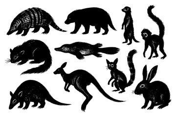 Wild Animal Brush Illustration Set – Monkey, Elephant, Bear, Kangaroo, and Wildlife Mammals in Ink Drawing Style