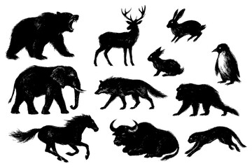 Wild Animal Brush Illustration Set – Monkey, Elephant, Bear, Kangaroo, and Wildlife Mammals in Ink Drawing Style