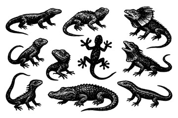Lizard and Reptile Brush Illustration Set – Dynamic Iguana, Gecko, and Snake in Ink Style for Nature and Wildlife Design