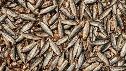 Fototapeta premium Trichogaster pectoralis fish in dried form