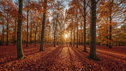 Fototapeta premium autumn forest scene with golden foliage and sun rays filtering through trees casting shadows on the ground covered in orange leaves