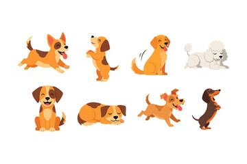 Fototapeta premium dog with different pose - Flat Style 2D Vector Illustration Cute Animal Set – Adorable Cartoon Animals Collection for Kids and Design Projects
