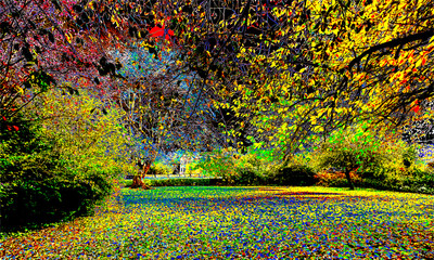 Where Light Lingers The Woodland