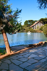 Swan-shaped pedal boats on Lago Negro in Gramado, Rio Grande do Sul, Brazil