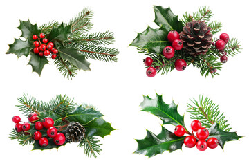 set of christmas elements