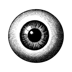 Human eye engraving black and white outline. Scratch board imitation.