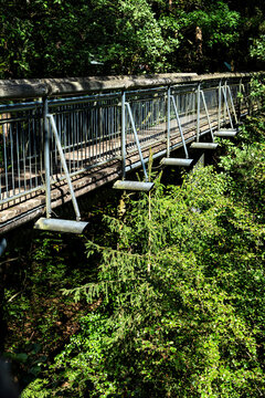 Baumwipfelpfad in Fischbach