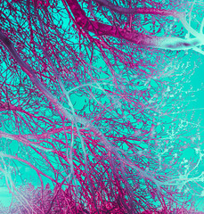 Colorized tangle of spring branches – pop art version 