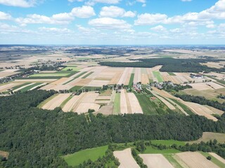 Serene Acreage WideAngled Vista of a Lush Green Field with Scattered Trees, Ideal for Tranquil Projects and NatureFocused Campaigns Evoking a Sense of Peace and Calmness.