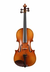 Fototapeta premium Viola on white background isolated
