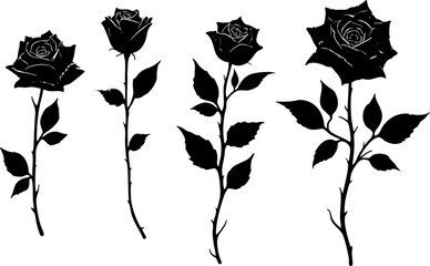 Modern horizontal black and white vignette incorporating a rose © Koly Akter
