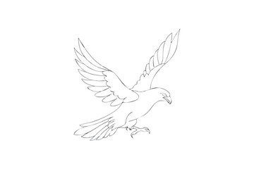 Obraz premium Elegant Line Art Illustration of a Majestic Eagle in Flight on a White Background