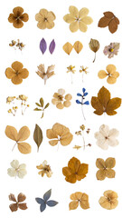 A vibrant, seamless pattern of colorful butterflies and floral illustrations with a collection of various spices