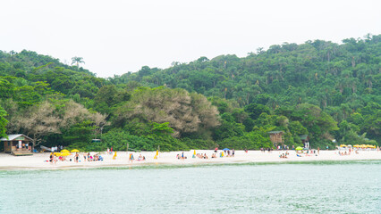 Ilha Do Campeche Natureza Mata Atlântica Floripa Florianópolis Mar Praia Vegetação Nativa Trilha Água Cristalina Sol Céu Azul Praia Deserta Tranquilidade Paisagem Verde Tropical Silvestre Vegetação