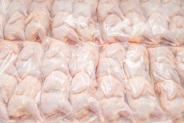 Raw whole quails chickens are tightly vacuum-sealed in transparent plastic packaging, arranged in...