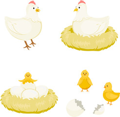 chicken and eggs cartoon