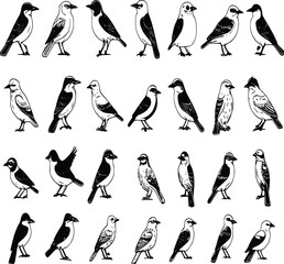 Fototapeta premium Bird Silhouette Collection