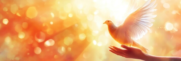 A gentle hand offers solace as a white dove, wings outstretched, finds peace and rest