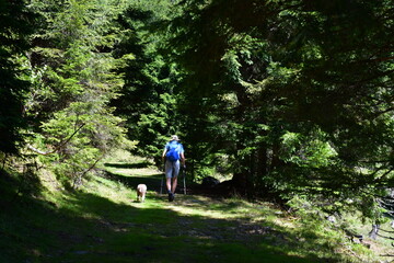 Fototapeta premium Mann und sein Lagotto Romagnolo Hund wandern bei Proveis in Südtirol 