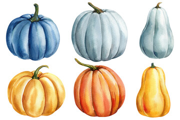 Watercolor pumpkins set in blue orange yellow shades for fall harvest clipart Thanksgiving kitchen and rustic decor