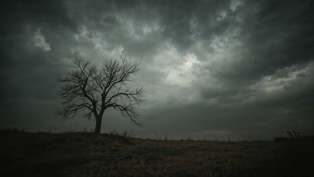 A somber scene featuring a leafless tree outlined by a gloomy, overcast sky