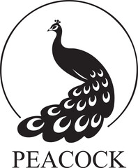 Fototapeta premium Peacock Silhouette Icon, Spread Feather Elegant Bird Vector, logotype Peacock art, Peacock black eps editable vector icon, black and white Peacock illustration on white background.