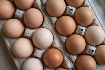 Fresh organic farm chicken eggs
