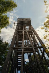 wooden viewpoint tower in the forest