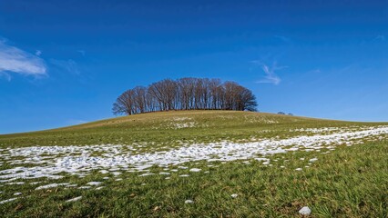 Sunny winter afternoon showing a small hill covered with bare trees, grass, and patches of snow against a clear blue sky