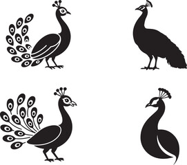 Fototapeta premium Peacock Silhouette Icon, Spread Feather Elegant Bird Vector Set, graceful Peacock Silhouette illustration set, solid black Peacock art, logotype Peacock icon, symbol of Peacock set on white background