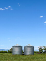Two silver grain silos stand side by side in a grassy green pasture with a backdrop of trees and distant mountains, beneath a vibrant blue sky on a sunny day. A peaceful rural farming scene.