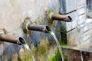 Old fountain in a forest