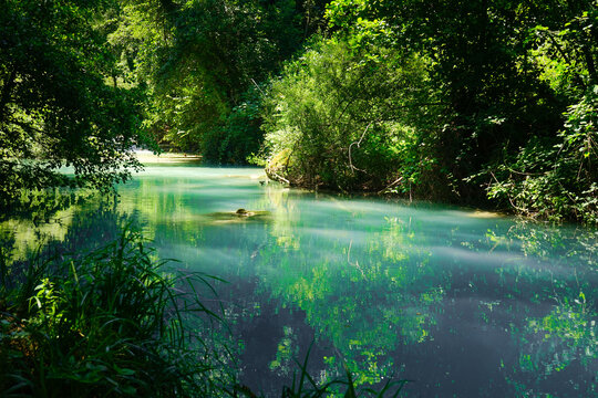 Clear water of Elsa river in a summer day, Colle Val d'Elsa, Tuscany, Italy