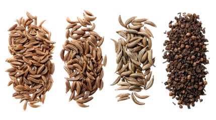 A diverse collection of seeds showcasing nature's variety and textures diverse