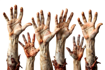 Multiple zombie hands with decaying flesh and dirt are raised upwards against a transparent background evoking horror