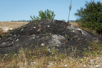 A small hill of blackened soil with sparse vegetation, including a young tree and some grass