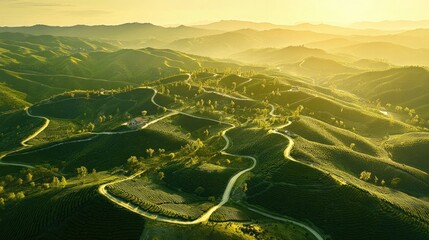 Sunrise over winding roads in lush green hills