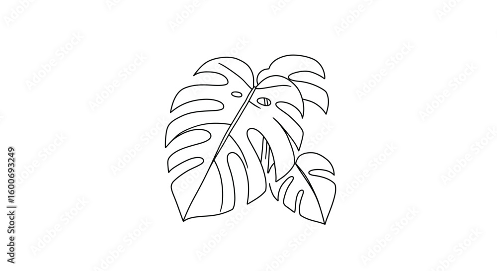 Poster monstera leaves minimalist line art: depicting a close-up of tropical monstera leaves with clean, pr